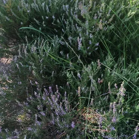 بيت للعطل With 2 Bedrooms باد سفيشنآن