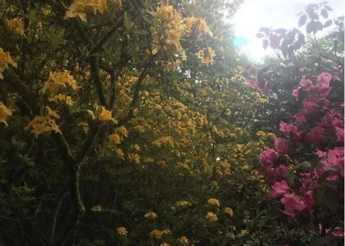 With 2 Bedrooms Holiday home